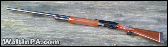 Remington 870 Wingmaster - 1